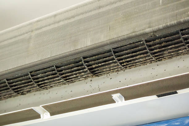 Best Air Duct Cleaning Near Me  in Manson, WA
