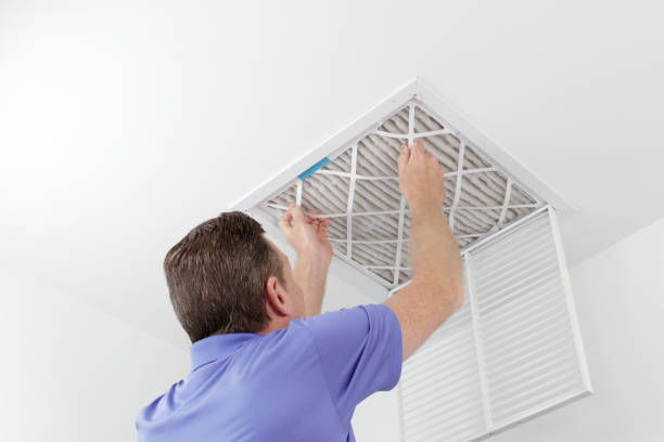 Air Duct Mold Removal in WA